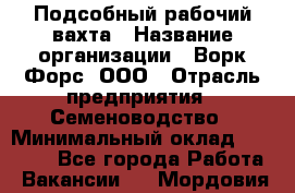 Подсобный рабочий вахта › Название организации ­ Ворк Форс, ООО › Отрасль предприятия ­ Семеноводство › Минимальный оклад ­ 30 000 - Все города Работа » Вакансии   . Мордовия респ.